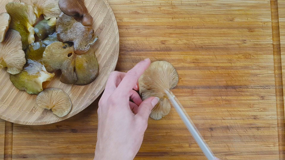 pařezník pozdní recept