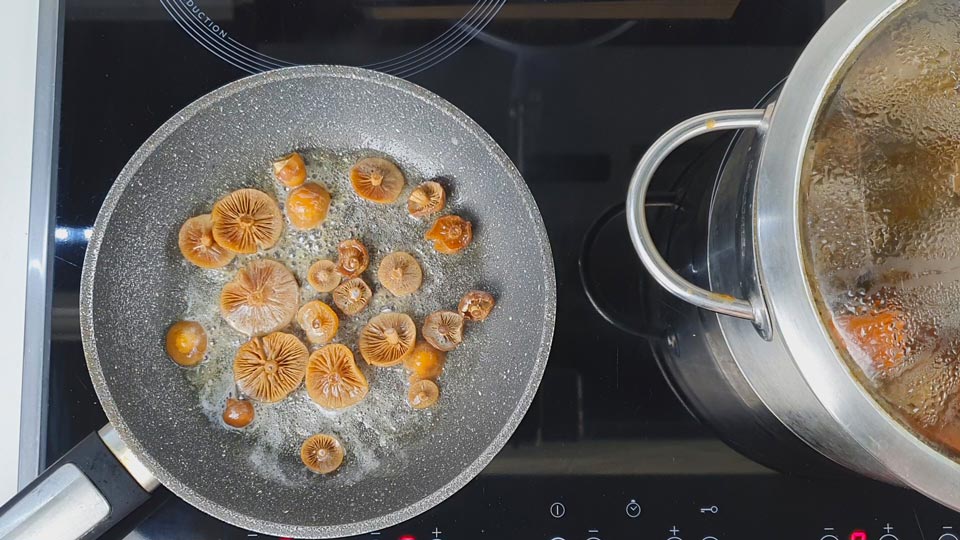 Opeňka měnlivá recept. Hovězí vývar s Opeňkou měnlivou.