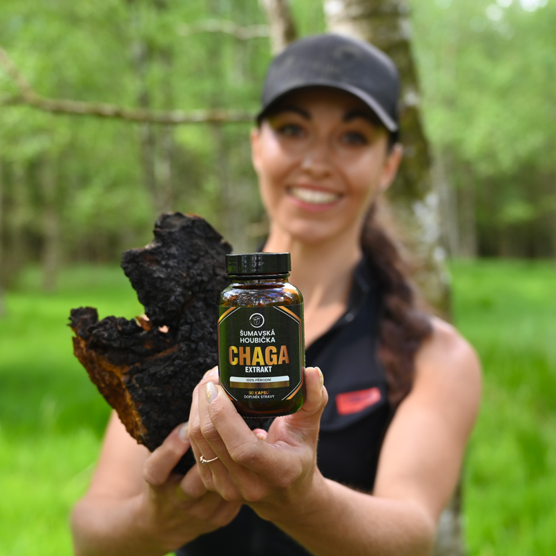 chaga kapsle extrakt