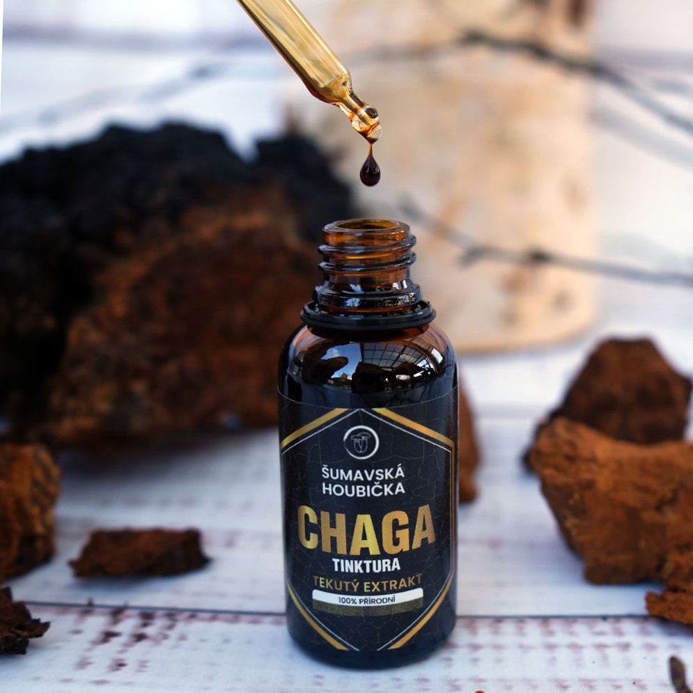 chaga tinktura