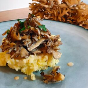 Maitake na smetaně recept