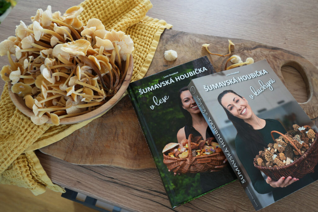 Knížky od Šumavské houbičky